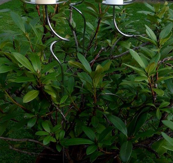 Individually hand-forged and finished candle holders
